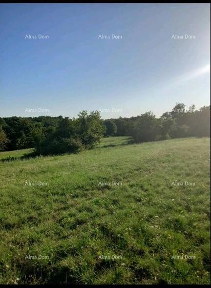 Land For sale - ISTARSKA PAZIN - OKOLICA