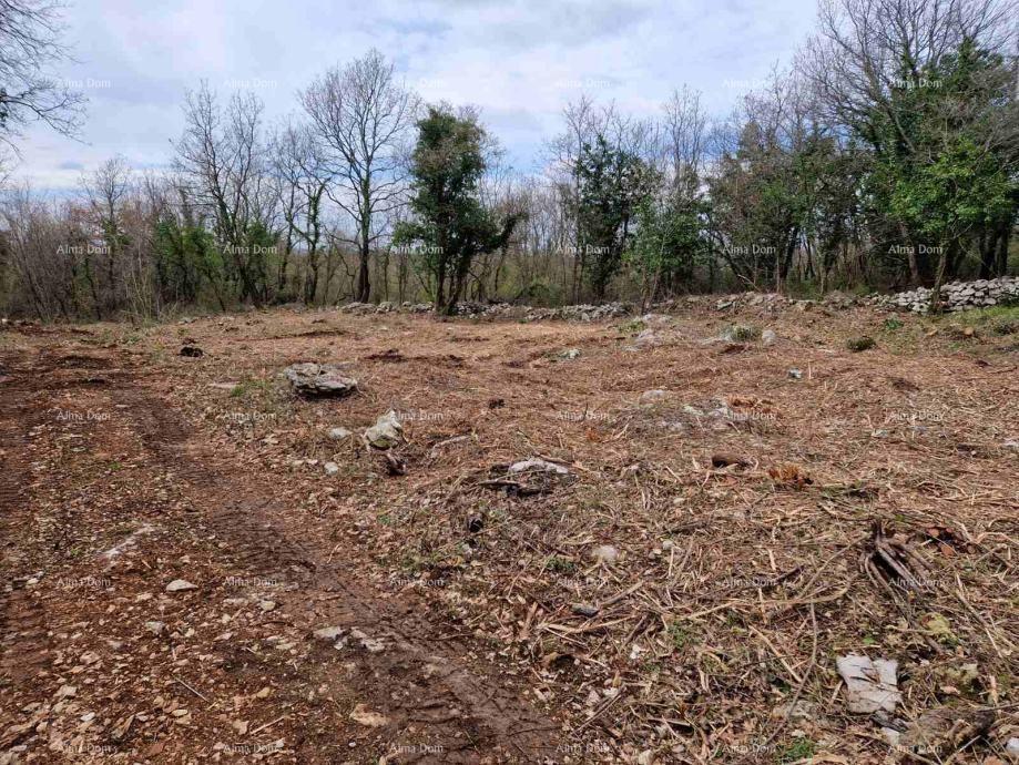 Terrain À vendre - Istarska Sveti Lovreč - foto 4/4
