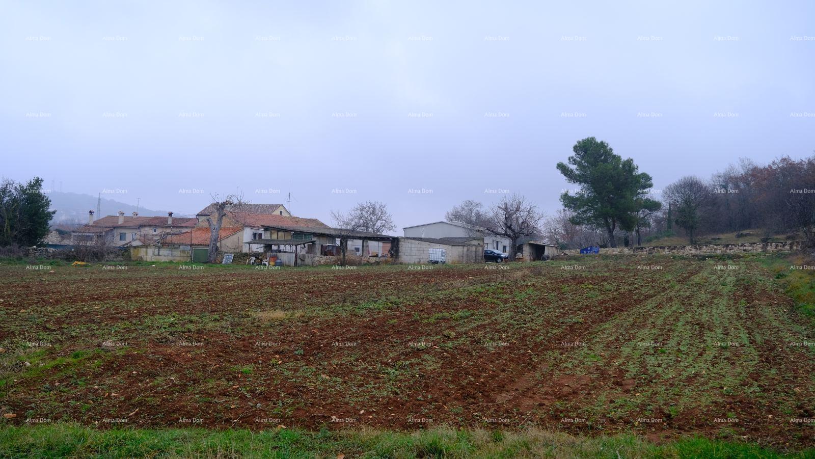 Terreno In vendita