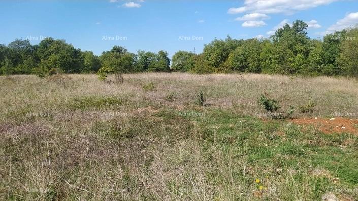 Land For sale - ISTARSKA SVETVINčENAT