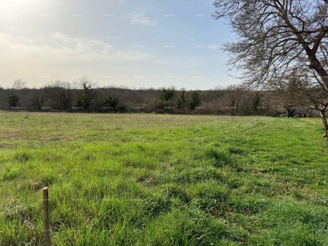 Land for sale 1067 m² – Barban