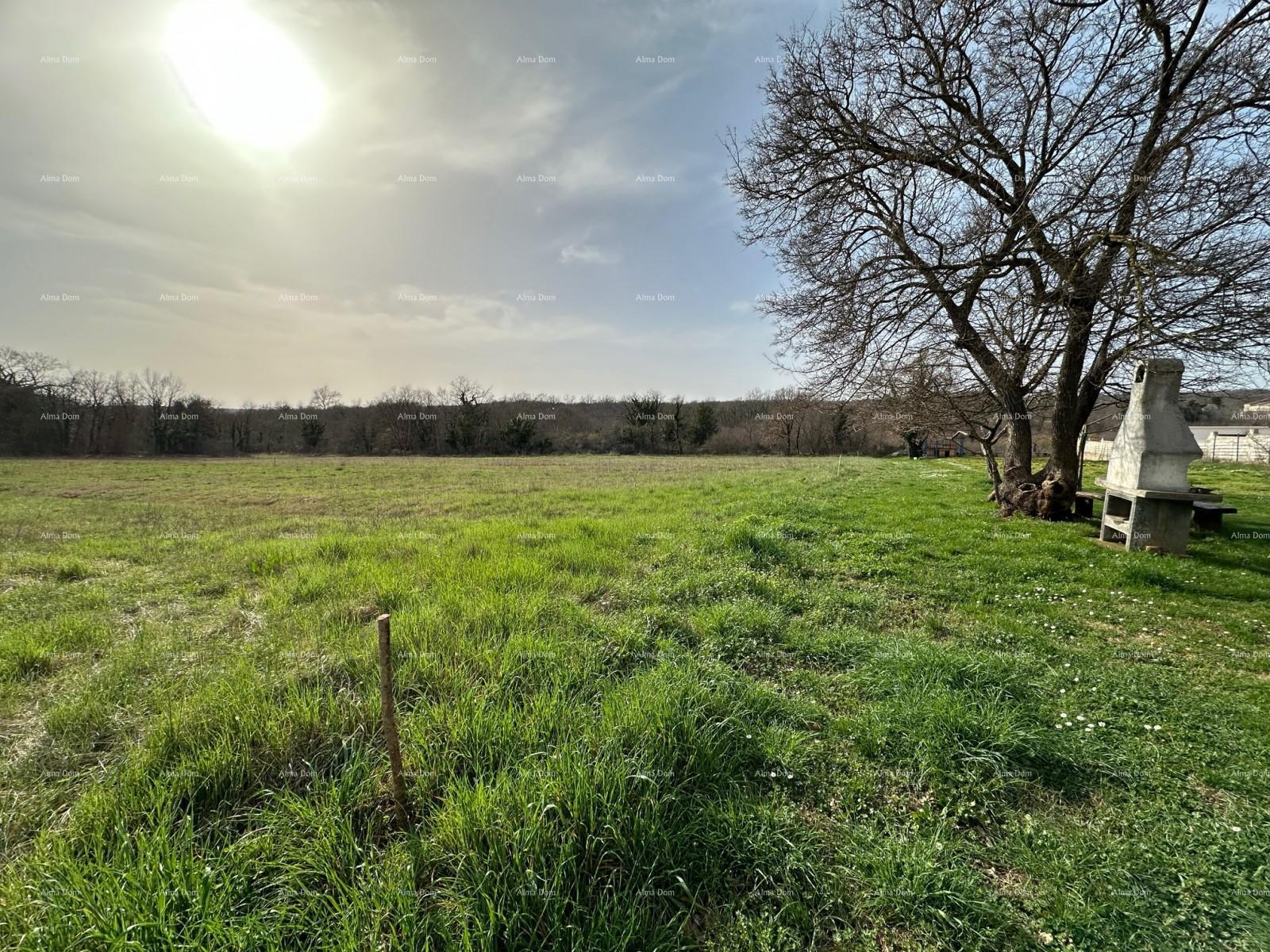 Terreno In vendita - ISTARSKA BARBAN