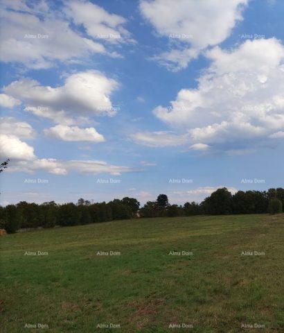 Land for sale 9964 m² – Filipana