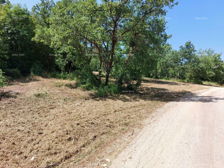 Land For sale - ISTARSKA POREč