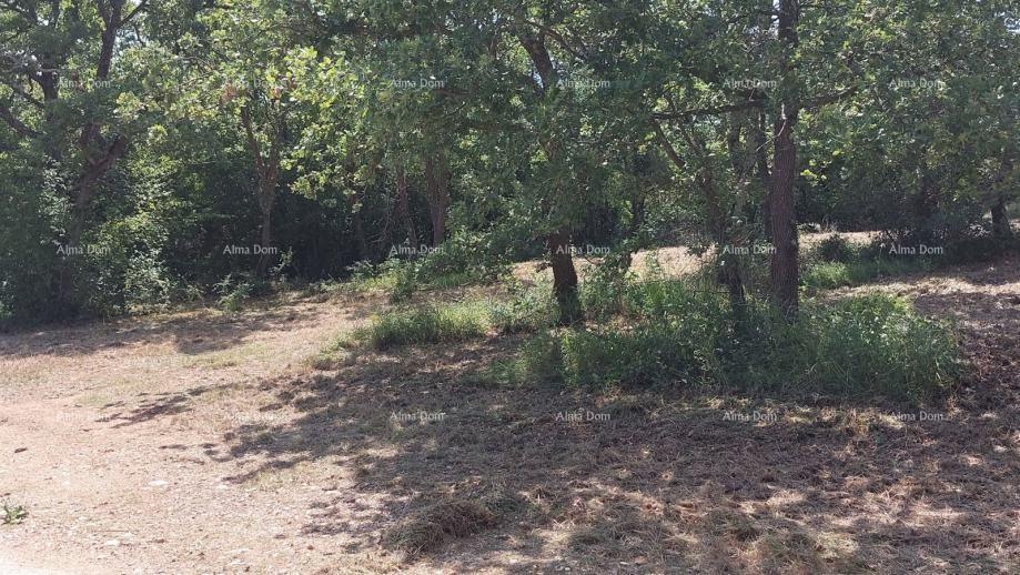 Land For sale - ISTARSKA POREč