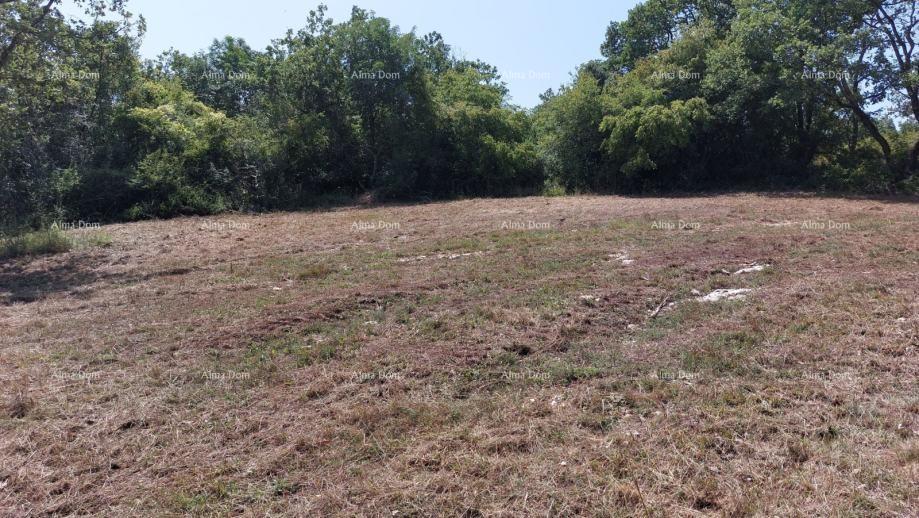 Land For sale - ISTARSKA POREč