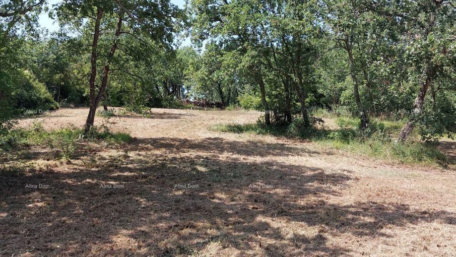 Land For sale - ISTARSKA POREč