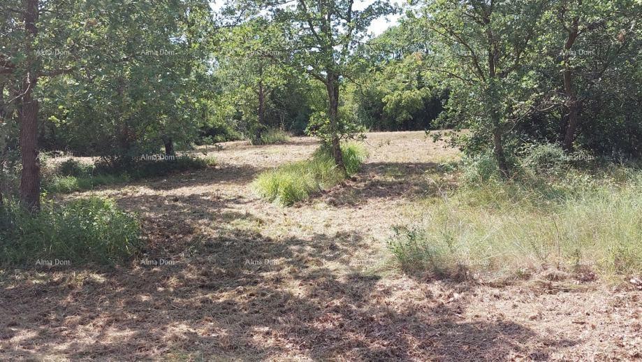 Land For sale - ISTARSKA POREč