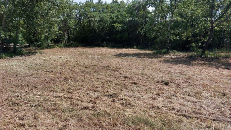 Land For sale - ISTARSKA POREč