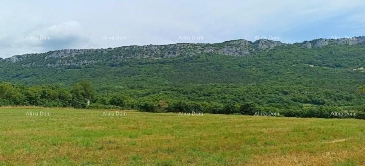 Terrain À vendre - ISTARSKA BUZET