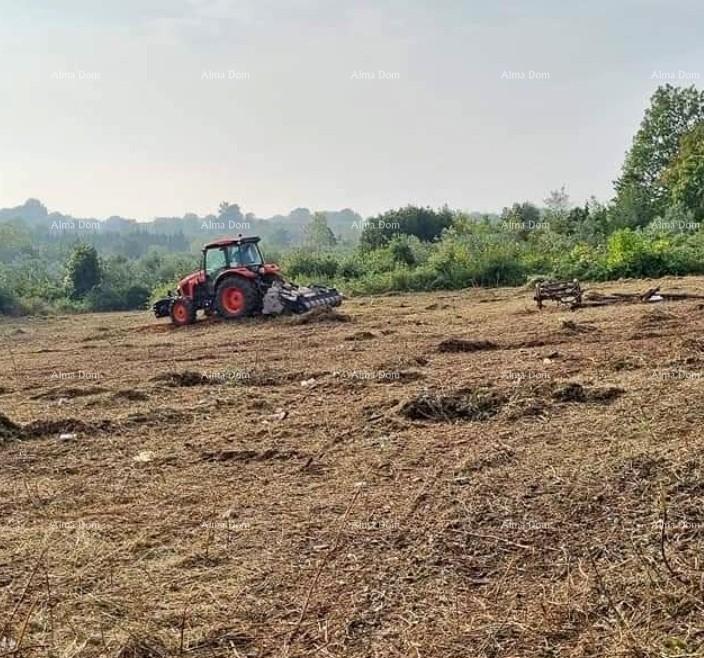 Land for sale 2190 m² – Brtonigla