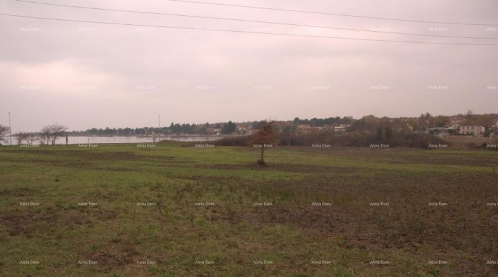 Land For sale DAJLA