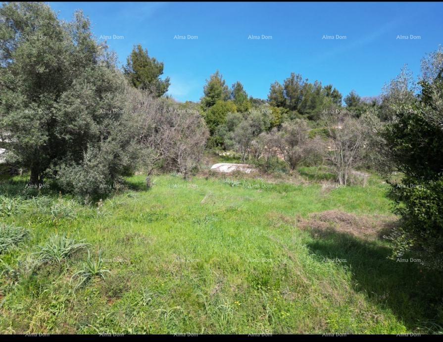 Land For sale - ISTARSKA LABIN