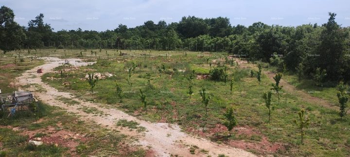Terreno in vendita 10300 m² – Kranjčići