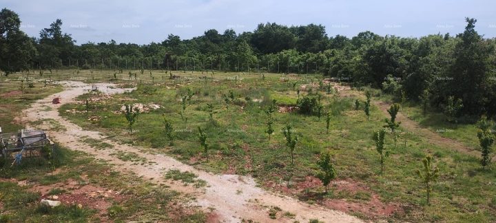 Grundstück zu verkaufen 10300 m² – Kranjčići