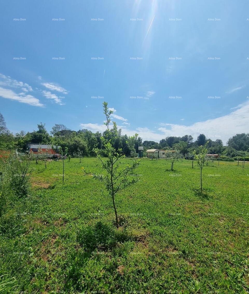 Land For sale - ISTARSKA FAžANA