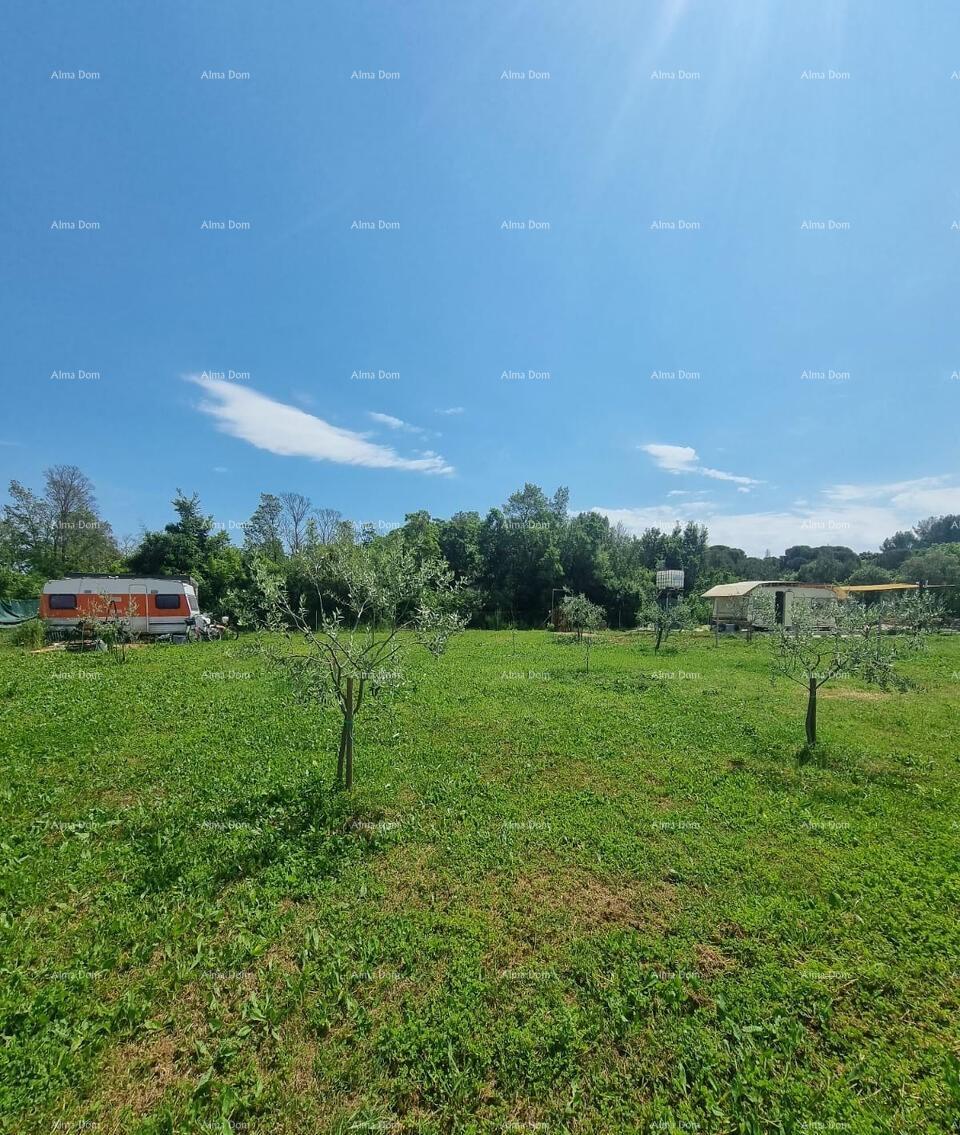 Land For sale - ISTARSKA FAžANA