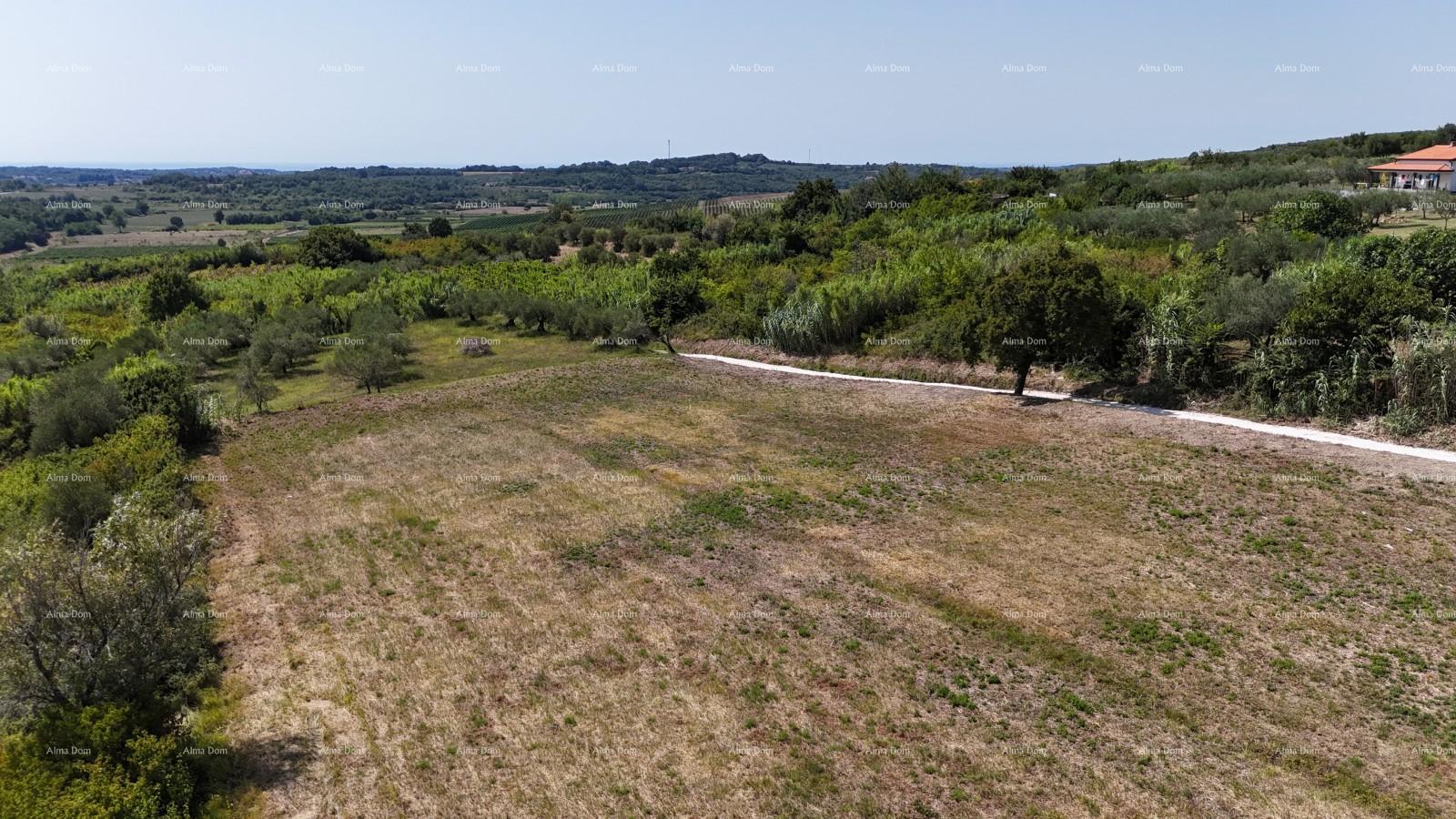 Land for sale 1031 m² – Buje