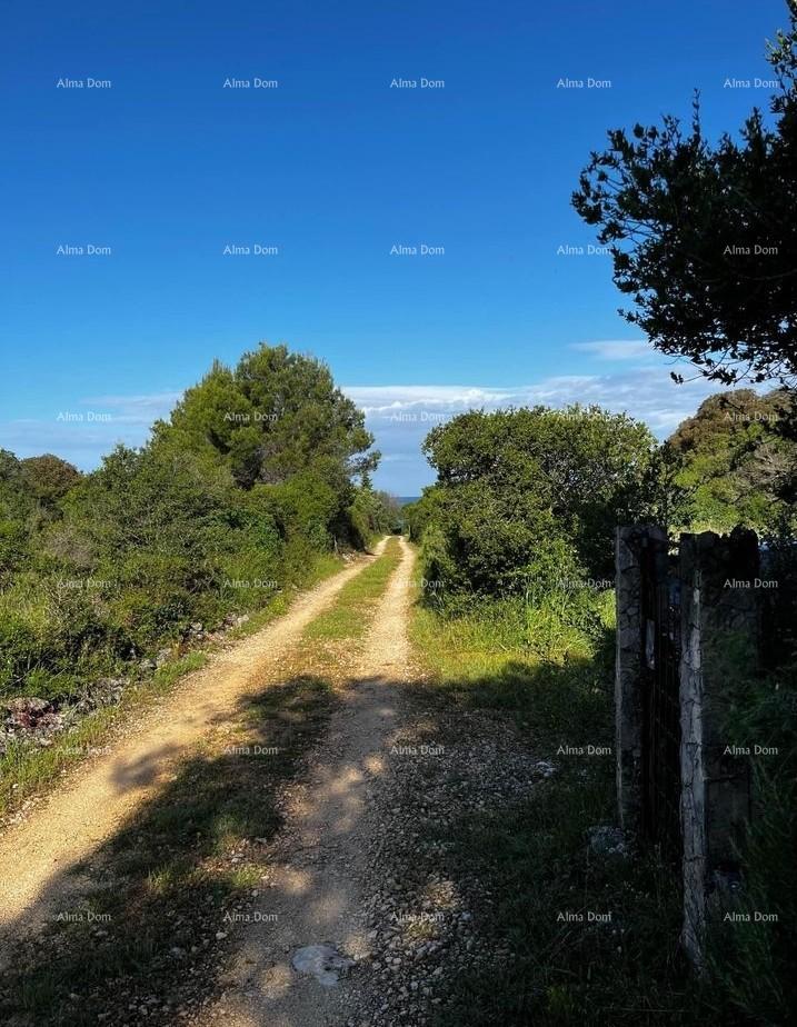 Land For sale - ISTARSKA VODNJAN