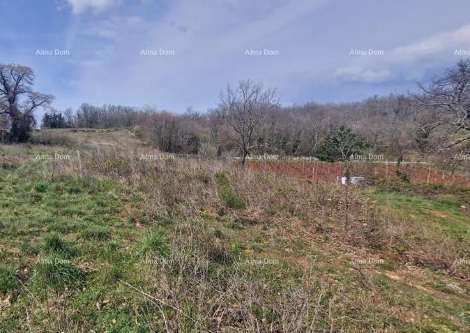 Land For sale - ISTARSKA PAZIN - OKOLICA