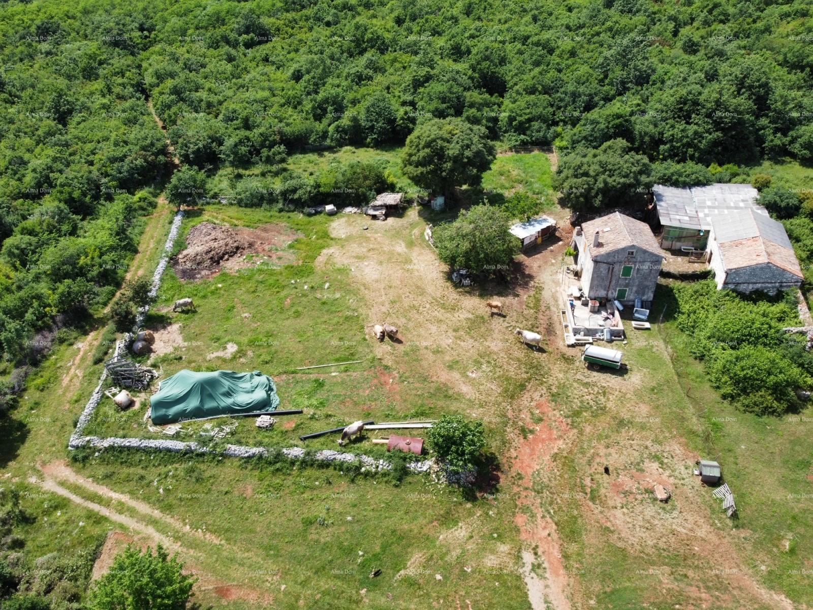 Casa In vendita - ISTARSKA MARčANA