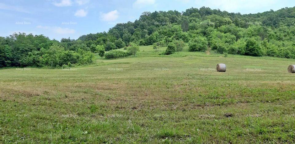 Działka Na sprzedaż - ISTARSKA PAZIN - OKOLICA