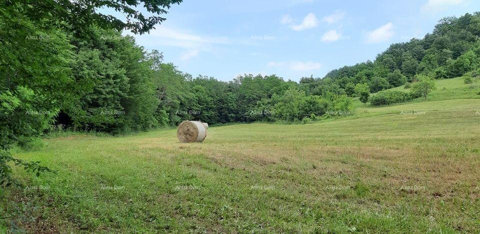 Land For sale - ISTARSKA PAZIN - OKOLICA