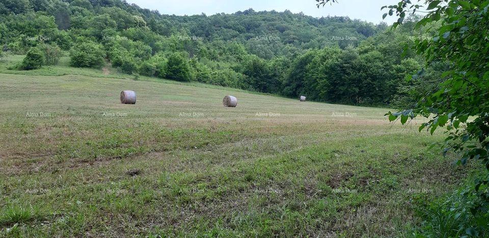 Land For sale - ISTARSKA PAZIN - OKOLICA