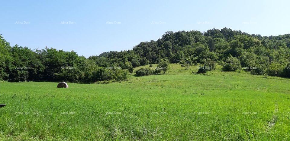 Land For sale - ISTARSKA PAZIN - OKOLICA