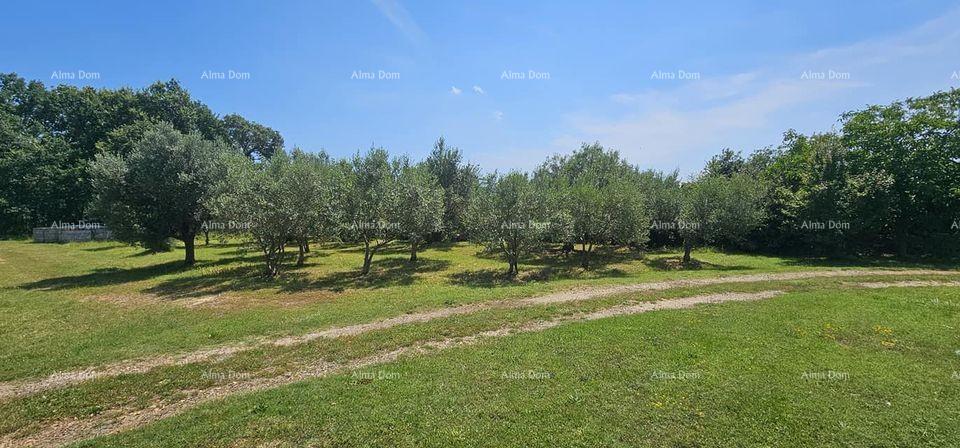 Terrain À vendre - ISTARSKA MARčANA