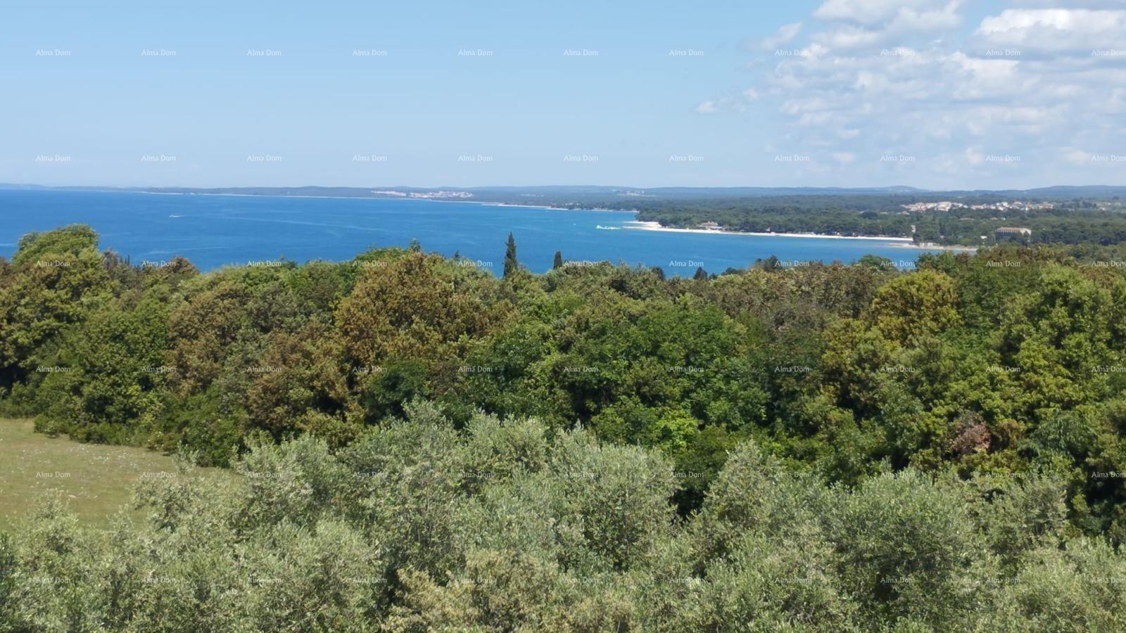 Dom Na predaj - ISTARSKA FAžANA