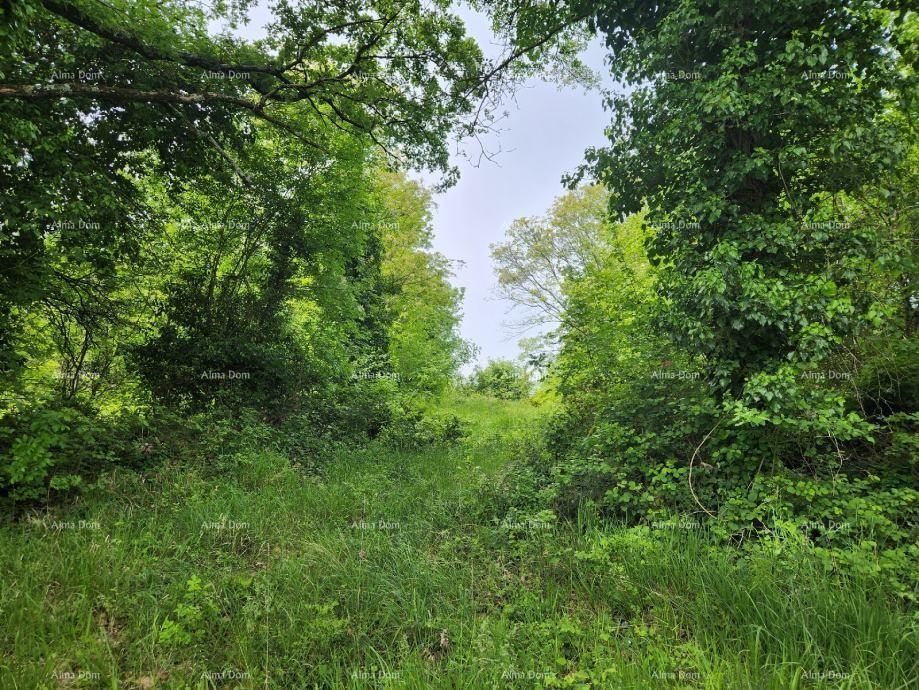 Terreno In vendita - ISTARSKA VIšNJAN