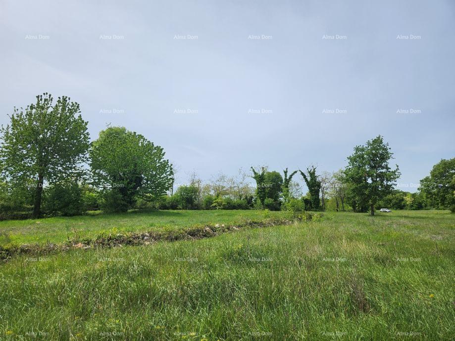 Land For sale - ISTARSKA VIšNJAN