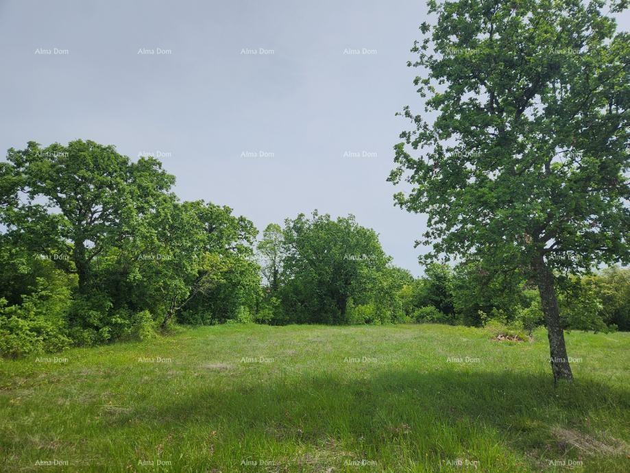 Land For sale - ISTARSKA VIšNJAN