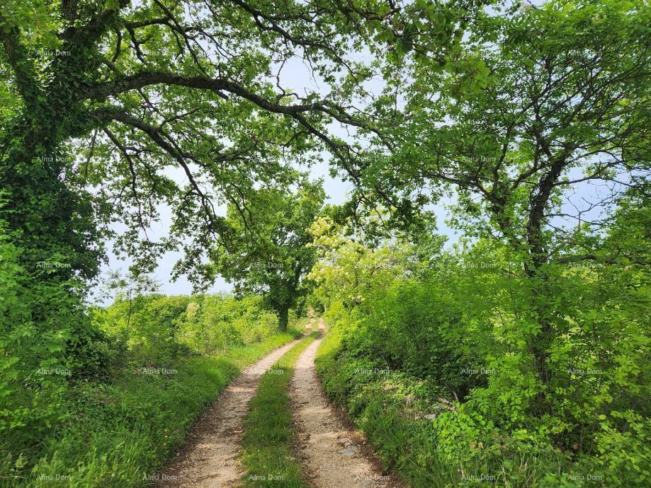 Terreno In vendita - ISTARSKA VIšNJAN