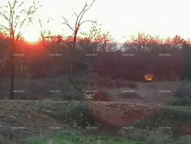 Grundstück Zu verkaufen - Istarska Tar-vabriga - foto 2/2