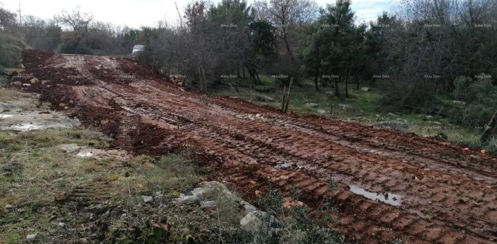 Parcela Naprodaj - Istarska Tar-vabriga - foto 3/3