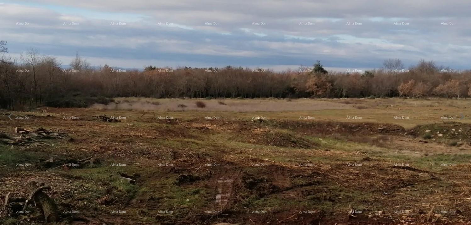 Zemljište Na prodaju - Istarska Tar-vabriga - foto 1/2
