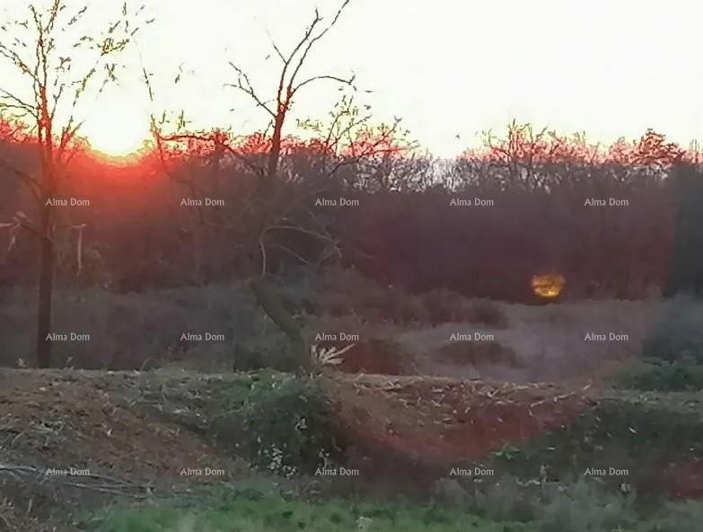 Zemljište Na prodaju - Istarska Tar-vabriga - foto 2/2