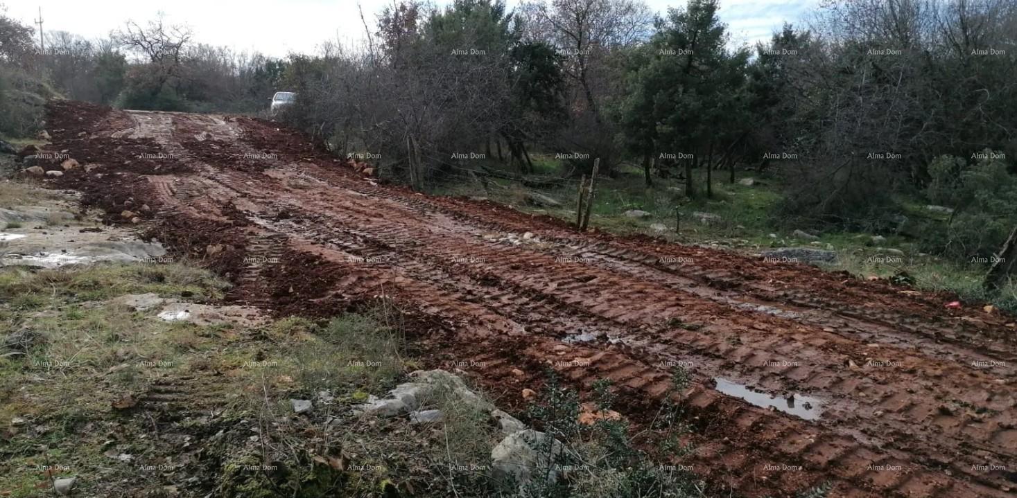 Parcela Naprodaj - ISTARSKA Tar-Vabriga