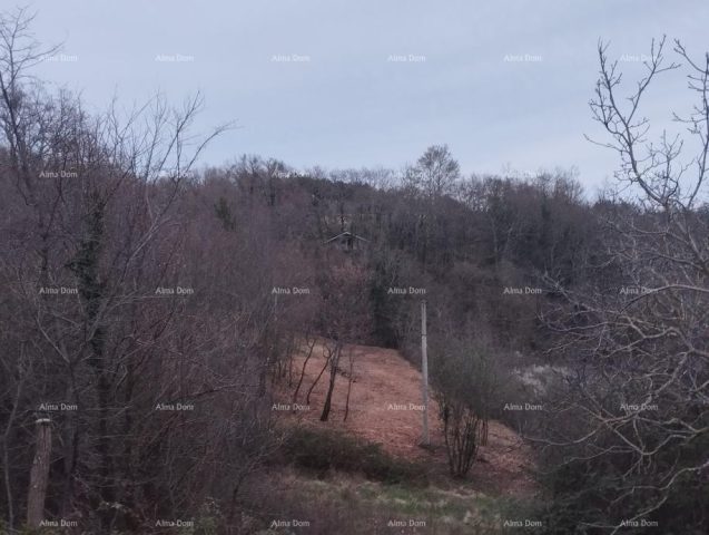 Land For sale - Istarska Pazin - Okolica - foto 5/5