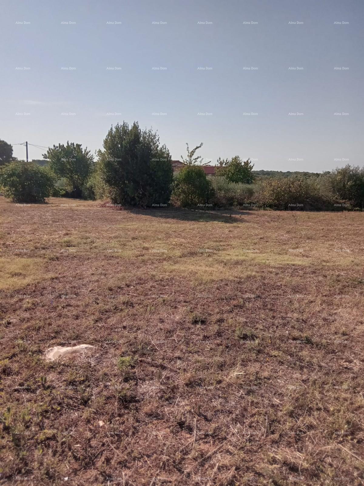 Parcela Na predaj - Istarska Marčana - foto 2/4