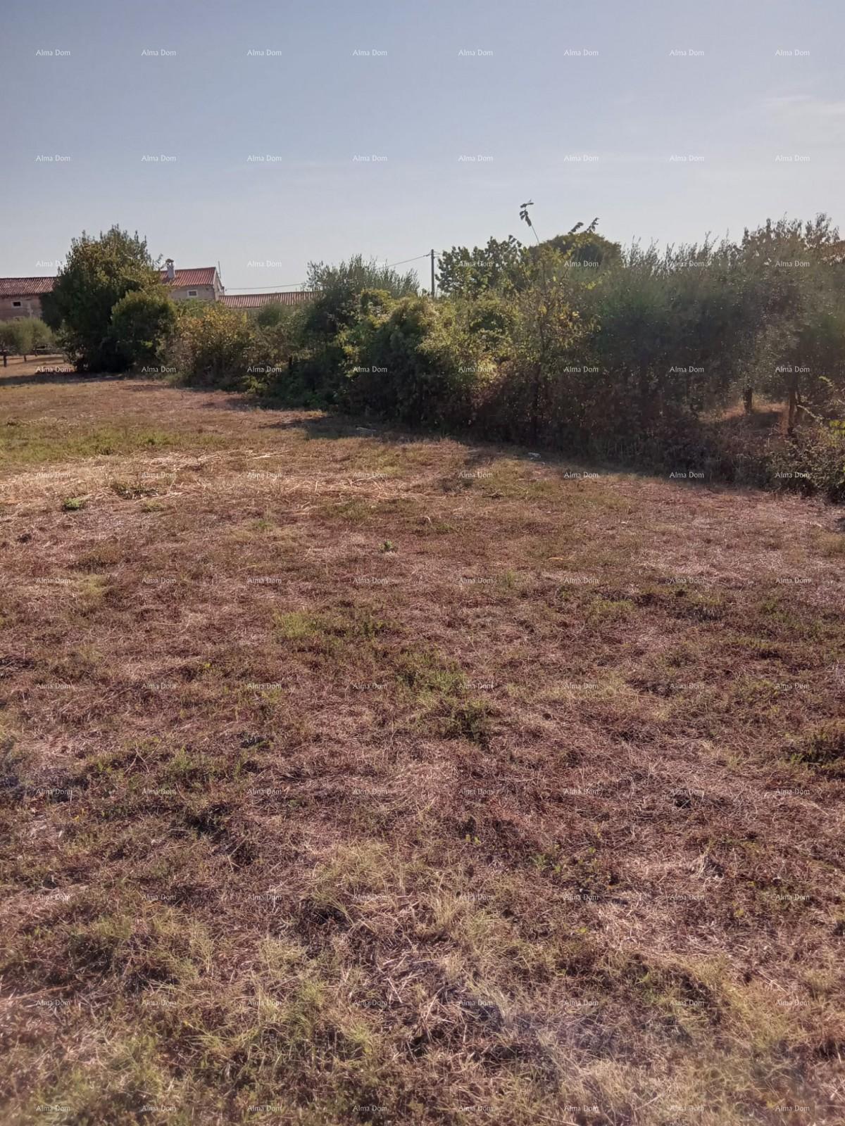 Parcela Na predaj - Istarska Marčana - foto 4/4