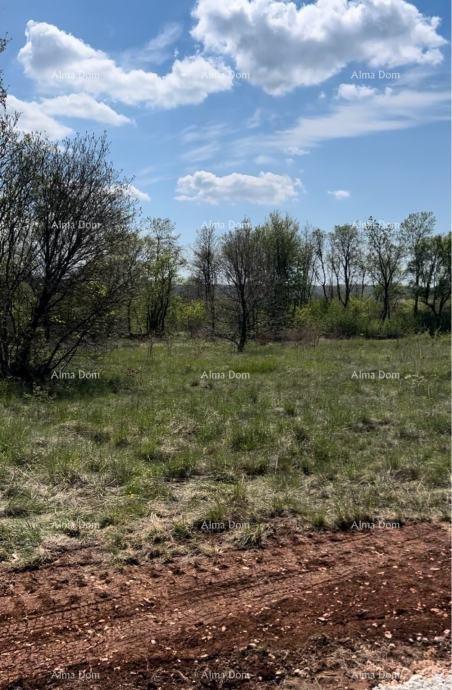 Land For sale - Istarska Tinjan - foto 5/6