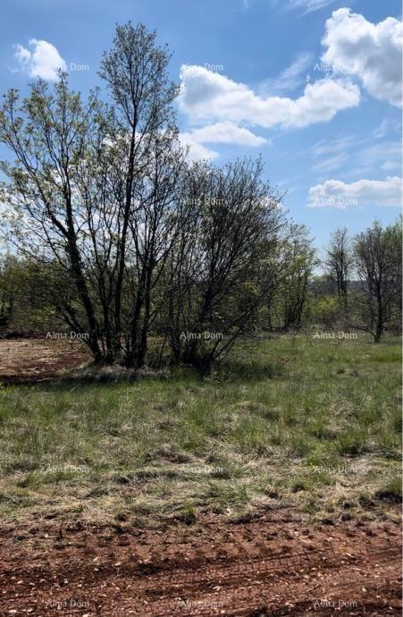 Land For sale - ISTARSKA TINJAN