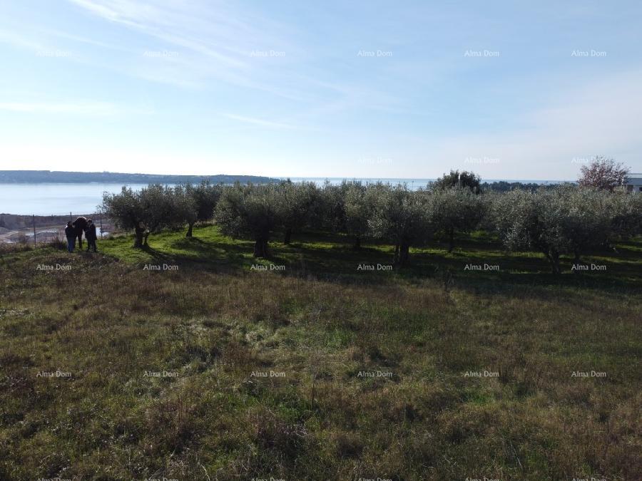 Apartma Na predaj - ISTARSKA NOVIGRAD
