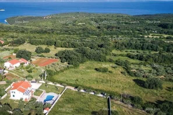 Grundstück zu verkaufen 6000 m² – Peruški