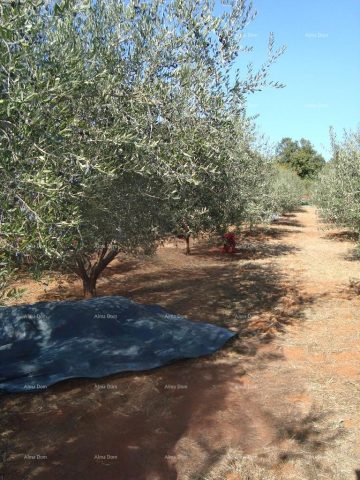 Parcela na predaj 4499 m² – Valtura
