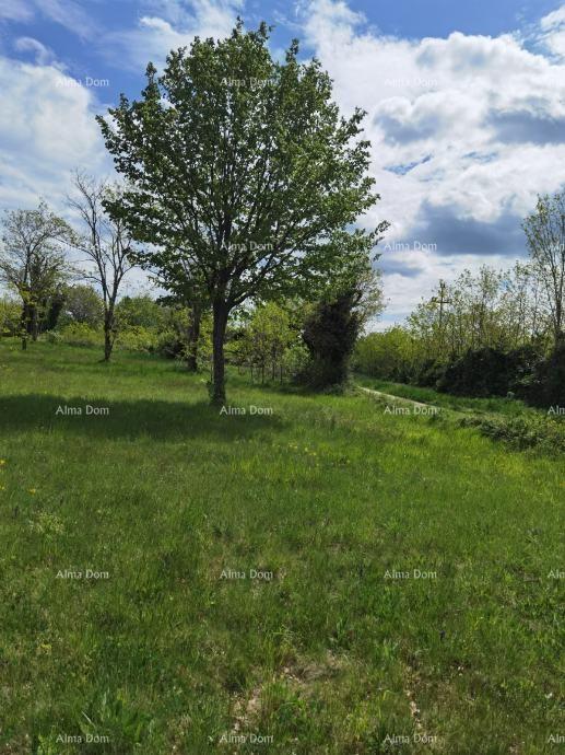 Parcela Na predaj - ISTARSKA VIšNJAN