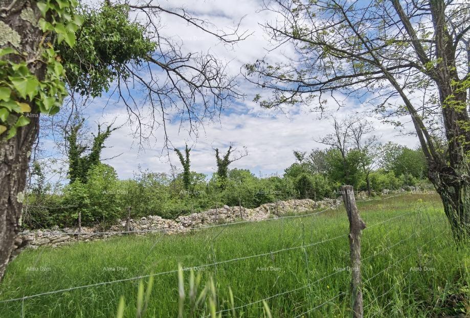 Parcela Na predaj - Istarska Višnjan - foto 4/17
